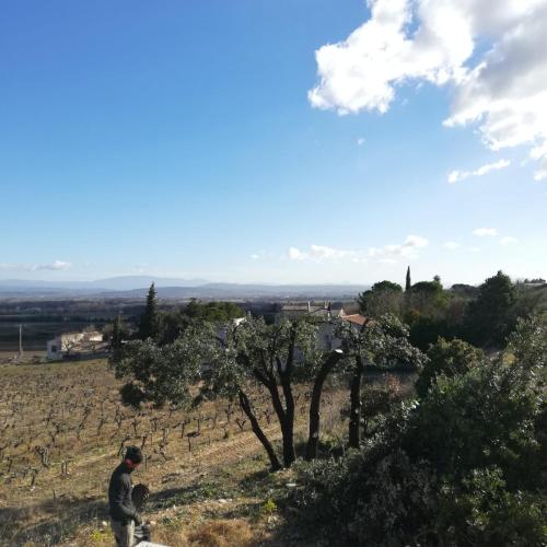 Les Cigalines