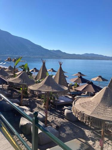 OVILIO KALAMATA OVILIO KALAMATA