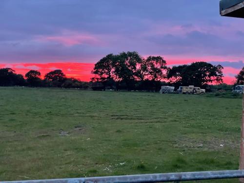 Alpaca Fold, Preston (foto 6)