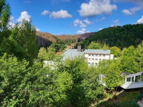 Werrapark Aktiv Hotel Am Sommerberg in Masserberg, Deutschland