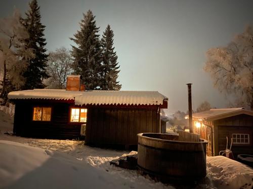 Cozy cabin with an amazing view