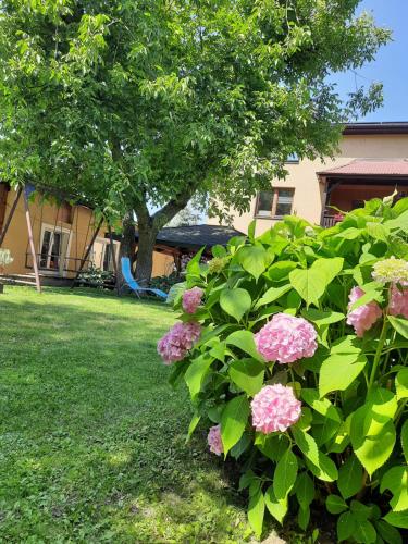 Apartament Nałęczów dom pod orzechami