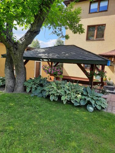 Apartament Nałęczów dom pod orzechami