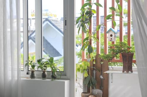 29-House, Cà Mau (photo 10)