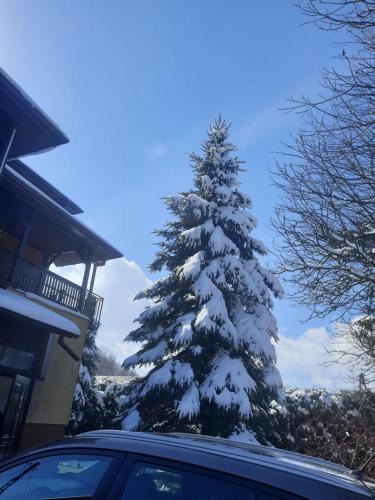 Apartament Nałęczów dom pod orzechami