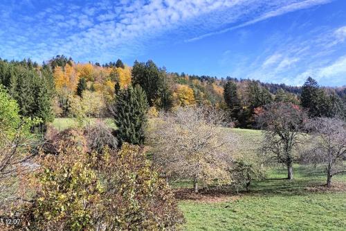 Gîte Cœur de Haute-Savoie