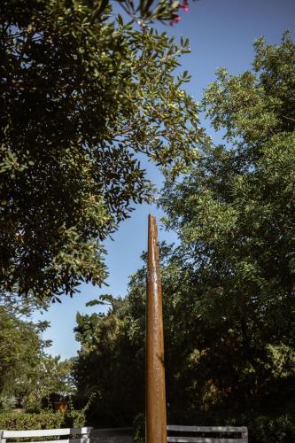Giardino dell'impossibile di Antonino Campo