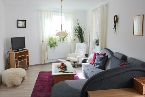 One-Bedroom Apartment image 9