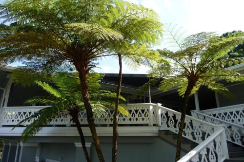 Ohi'a Park Estate - image 7