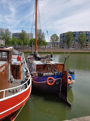 Boat-Apartment Rotterdam Fokkelina, Róterdam (foto 6)