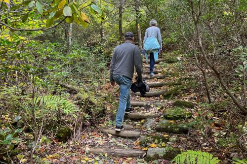 Love Ridge Mountain Lodging