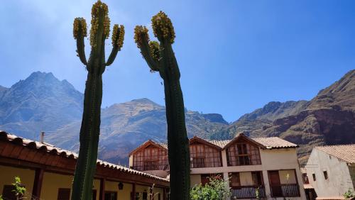 Hospedaje Chaska Pisac