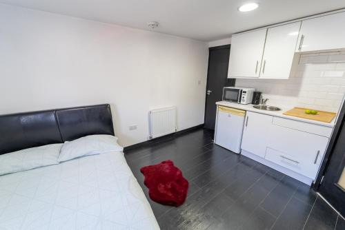 Lovely studio close to University of Birmingham!, Birmingham (zdjęcie 5)