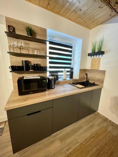 Kitchen, Molla Villa Kokeny in Pogány