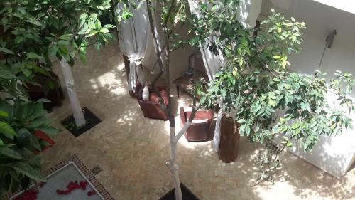 Riad Maialou & SPA - image 13