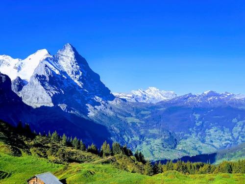 Chalet Eigernordwand, Grindelwald (fotografie 10)