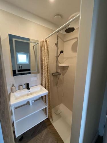 Renovated & private Tinyhouse Den Haag short stay appartment, Haag (fotografie 8)