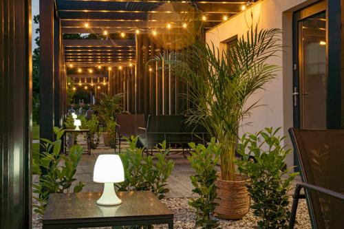 Apartamenty Pod Dębami (Apartamenty Pod Debami) in ซาร์บสค์