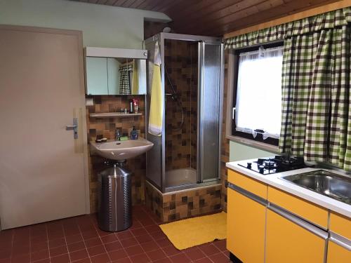 淋浴間, Retro Ferienwohnung mit Schlossblick im Nordschwarzwald in 阿爾滕施泰格