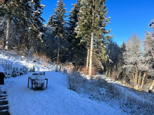 Moderne Wohnung im Grünen mit privatem Garten (Moderne Wohnung im Grunen mit privatem Garten) in โดเนาเอส์ชินเกน