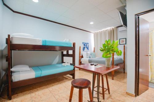 Wild Flowers Rooms