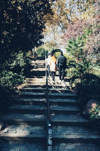 Hotel Indigo Madrid - Princesa an IHG Hotel - image 14