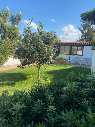  Casa di Paola in Ardea