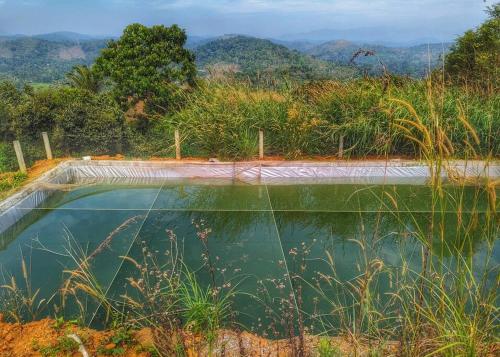 Griha Sankalpa, a farmstay