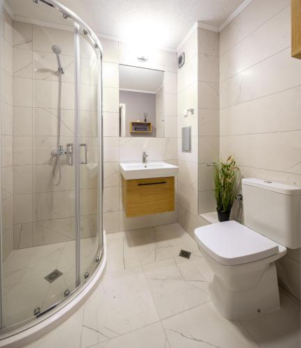 One-Bedroom Apartment image 7