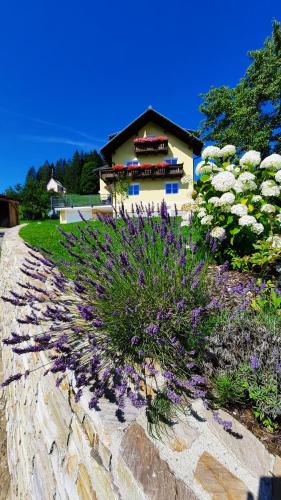 Kalvarienberg Appartement Gosau