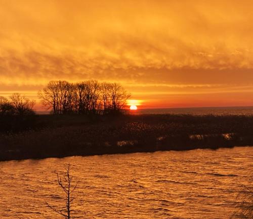 Auszeit am Haffufer in Wilhelmshof, Deutschland