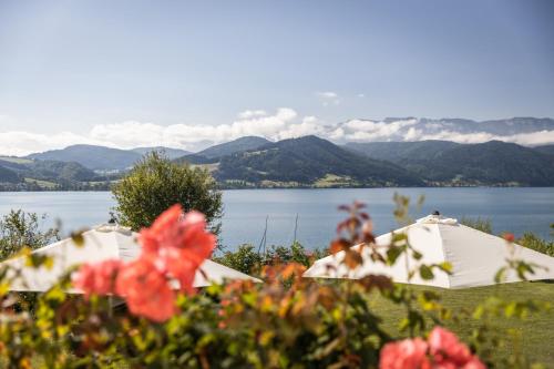  Villa Weiss in Attersee am Attersee