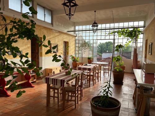 Residencial Avenida Hostel in Tomar