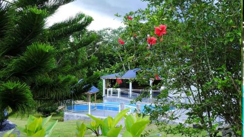 Appartement spacieux à Lamentin + piscine et jacuzzi. - Location saisonnière - Lamentin