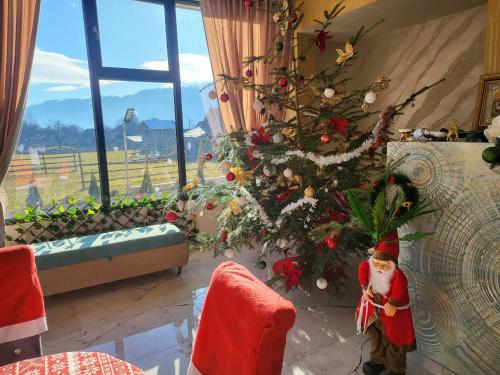 Soimii Bucovinei Residence in 瓦特拉摩奧杜維泰