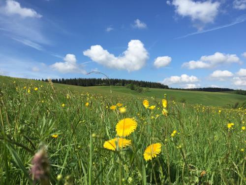 Berghotel Talblick