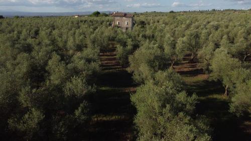 Agriturismo i due casali - image 5