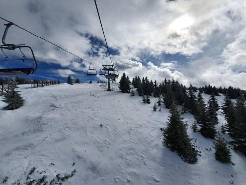 P20 Milmari DeLuxe Studio Kopaonik - main image