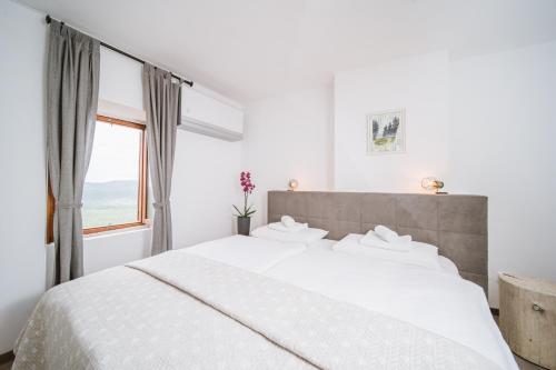 Villa Borgo B&B - image 4