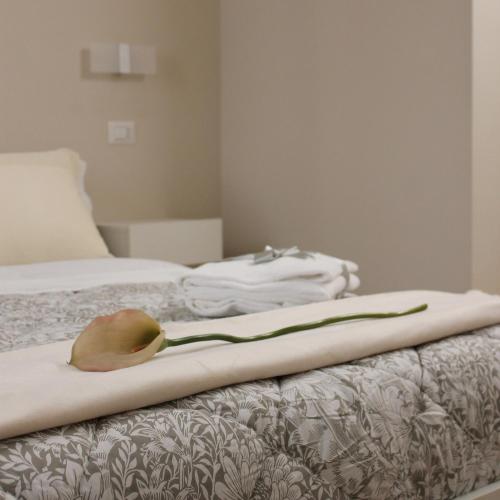 Room 369, Termoli (fotografie 8)