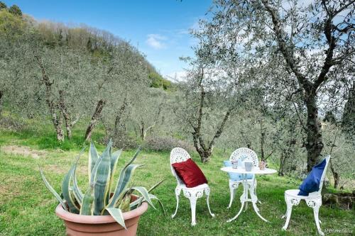  Villa Malula a classy house in the countryside in Capannori