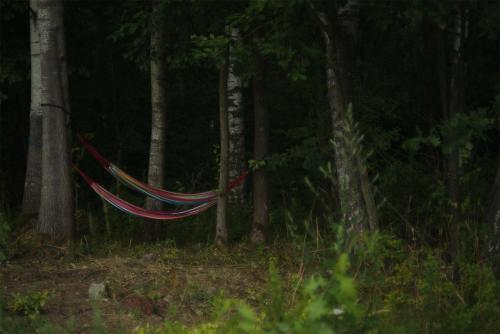 Rent a tent - Namiot w Praekologicznym gospodarstwie 5