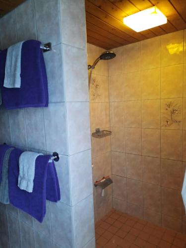 Vreni`s Ferienwohnung in Gais, Schweiz