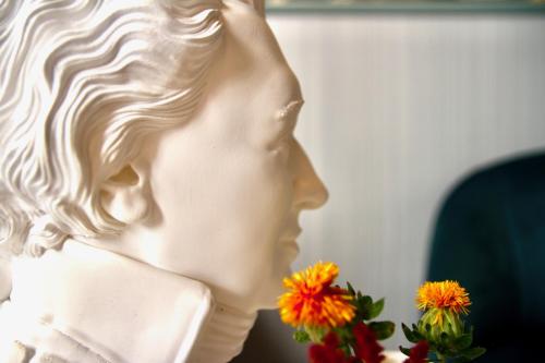 Amadeus Hotel - image 11