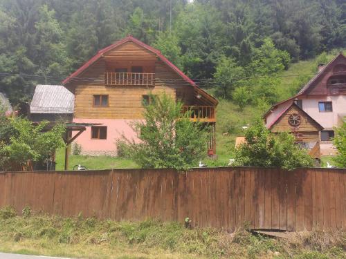 Pensiunea Trei brazi Scărișoara - Accommodation - Scărişoara