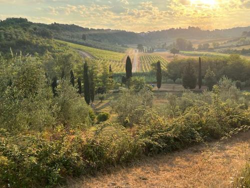  Agriturismo Campolungo, Sant'Ermo bei Marmigliaio