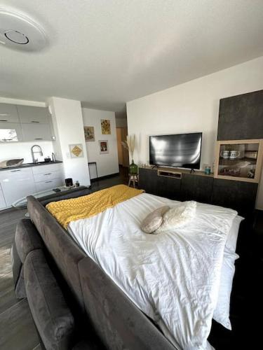 Superbe appartement proche de Strasbourg