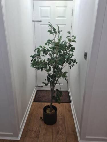 Lovely 2 Bedroom Garden Flat in trendy West End, Glasgow (Foto 8)