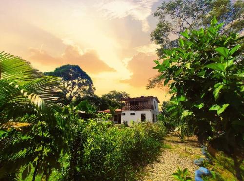 Espectacular Casa-Bonobo house al lado del rio in Acacias