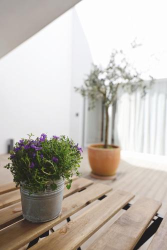 RIBEIRA FLORES 59 Downtown Apartments, Porto (photo 6)